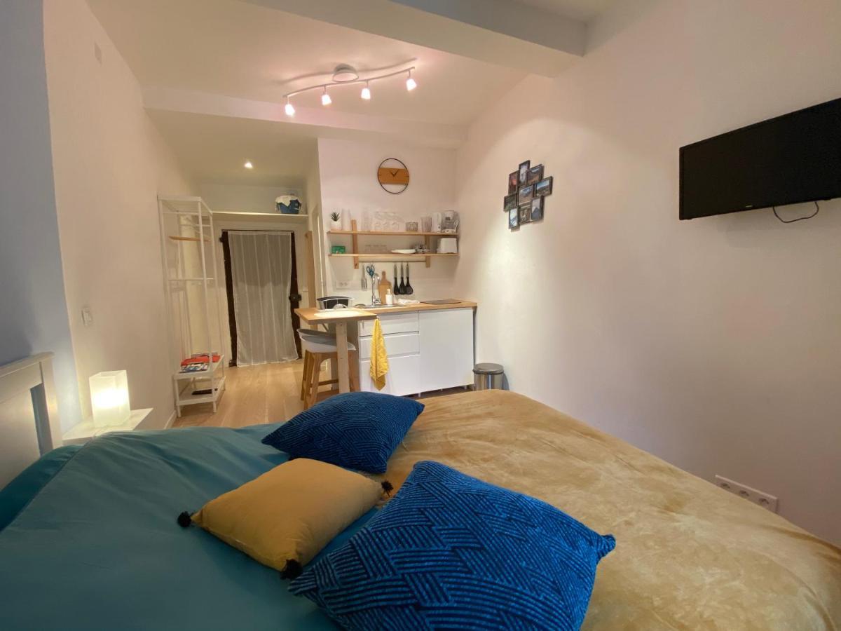 Studio Tres Agreable Proche De Auron Saint-Étienne-de-Tinée 외부 사진